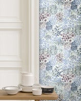 Kukkameri 25935 tapet