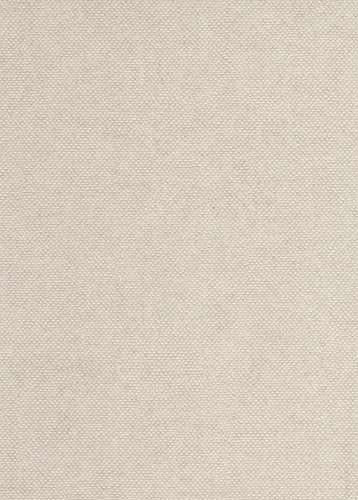 Lys papyrus CLR011