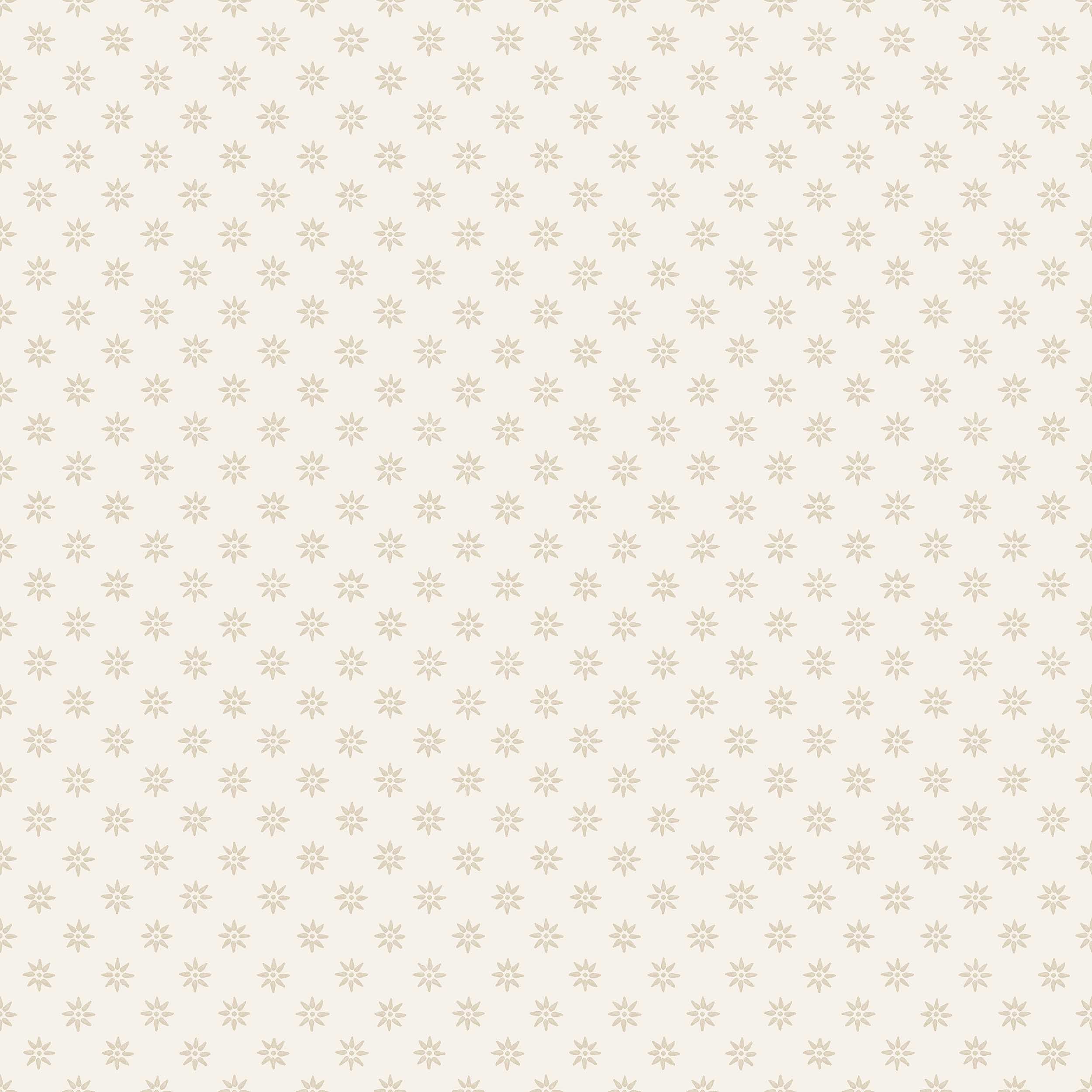 Skogsstjärna, Beige