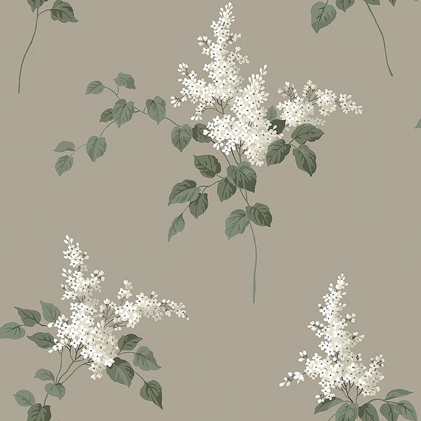 Lilacs, brun