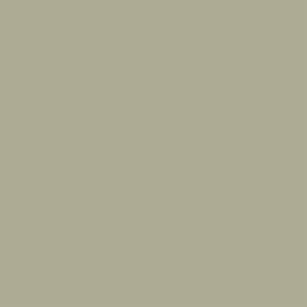 Akvarell Skägglav/S 3010-G80Y