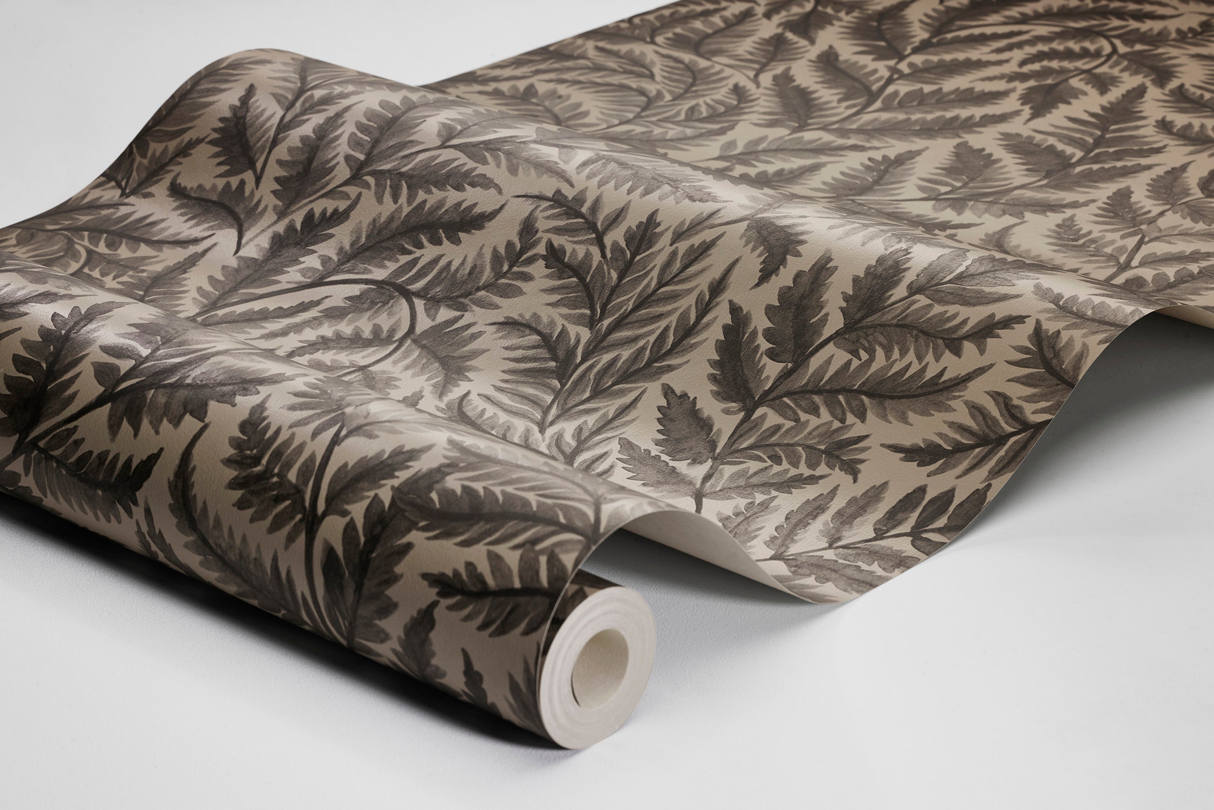 Ferns, svart