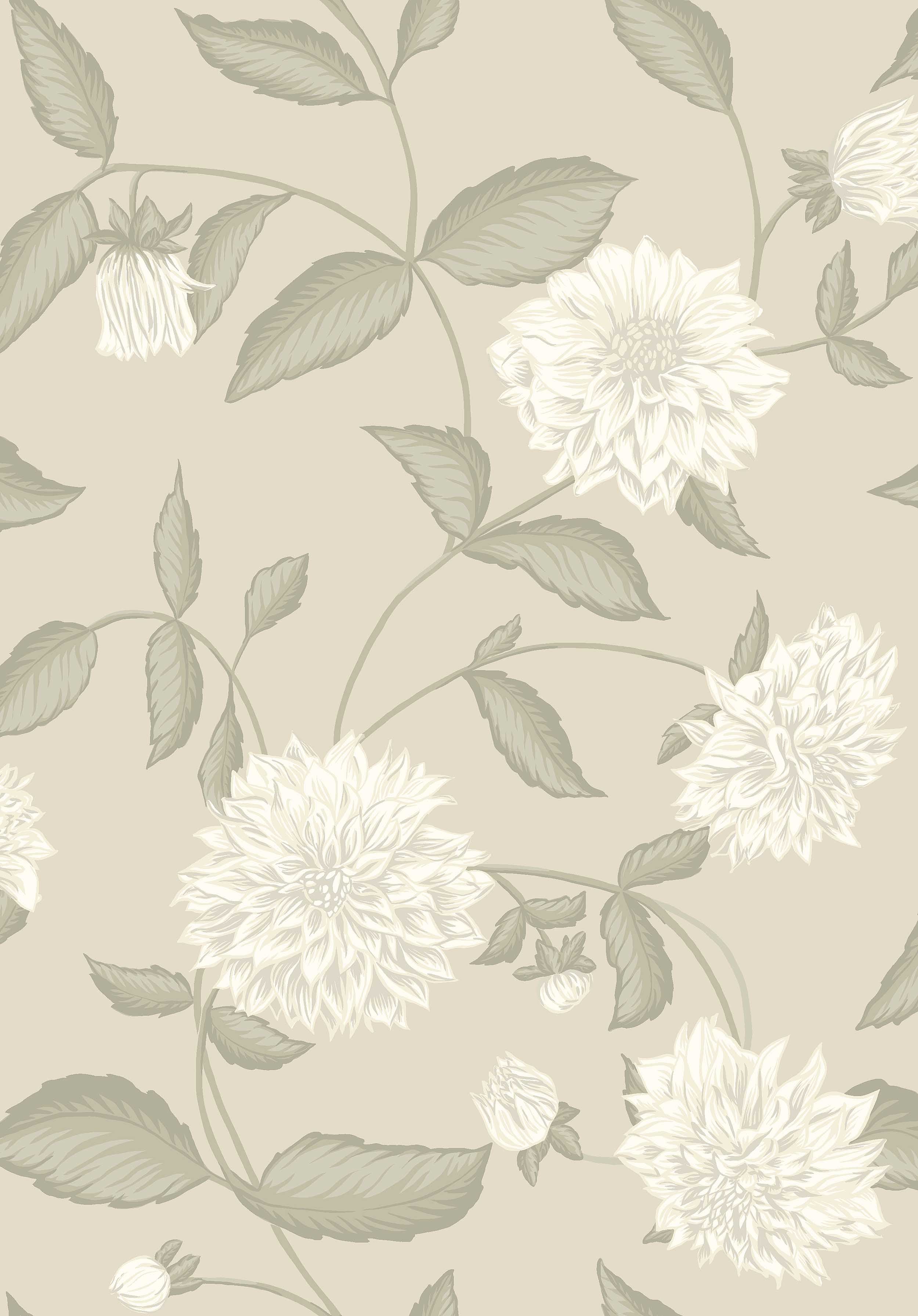 Dahliadröm, Beige