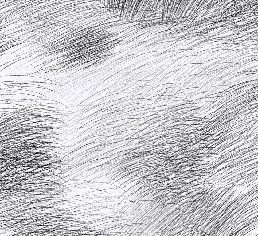 Marimekko Lepo, svart och vit tapet