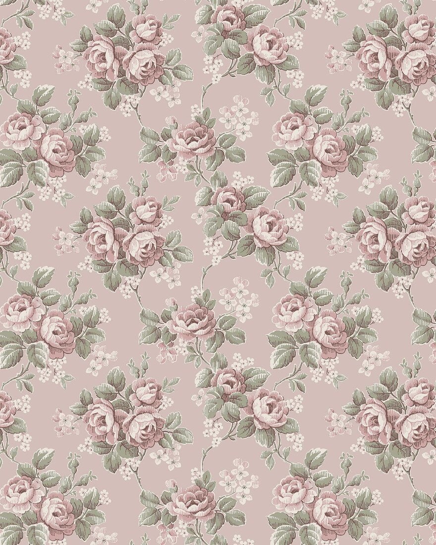 Helena, rosa
