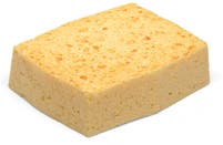 Tvättsvamp