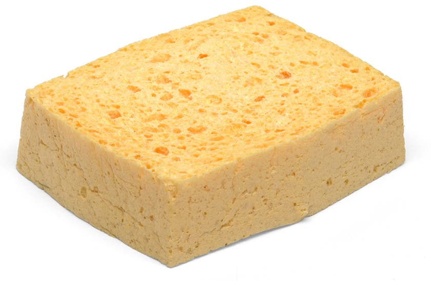 Tvättsvamp