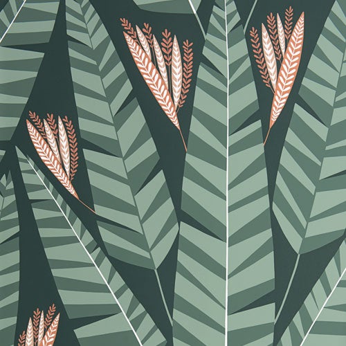 Jungle Rainforest