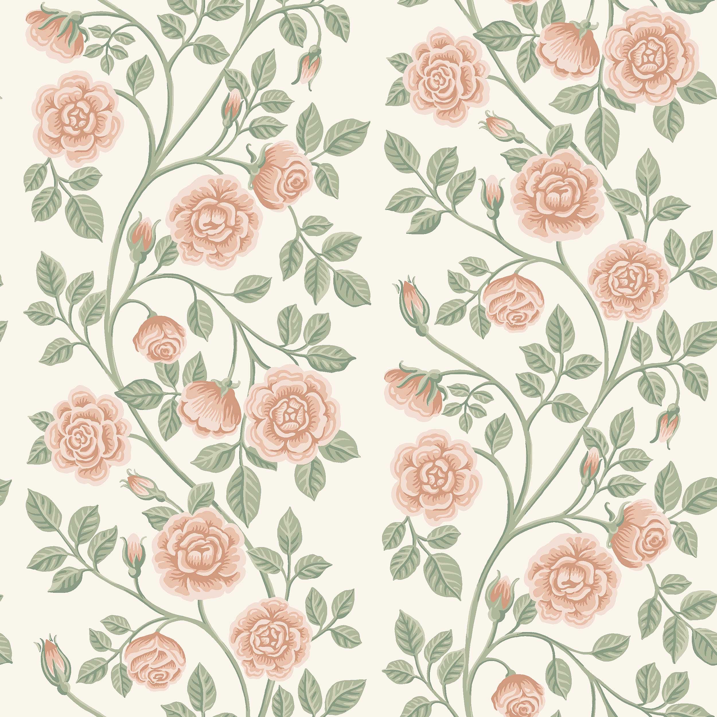 Elsa, Rosa