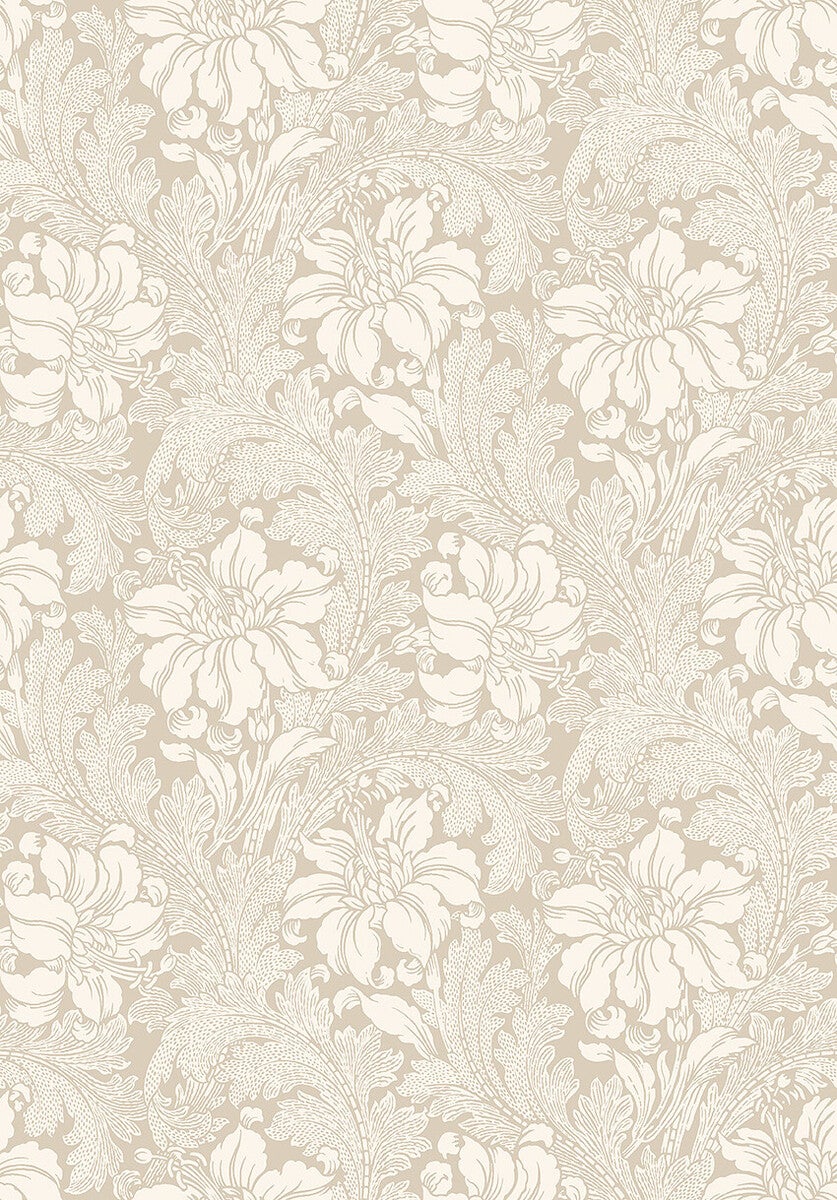 Acanthus storblommig, beige
