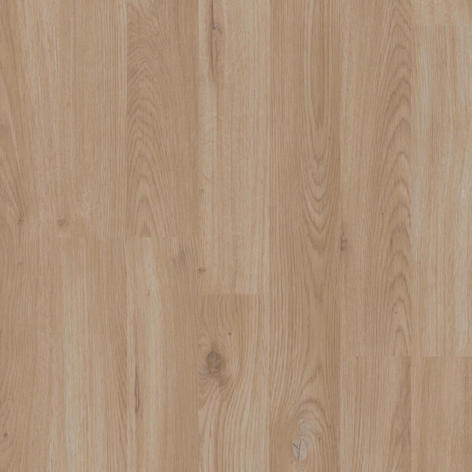 Woodstock Soundlogic Brume Oak Beige