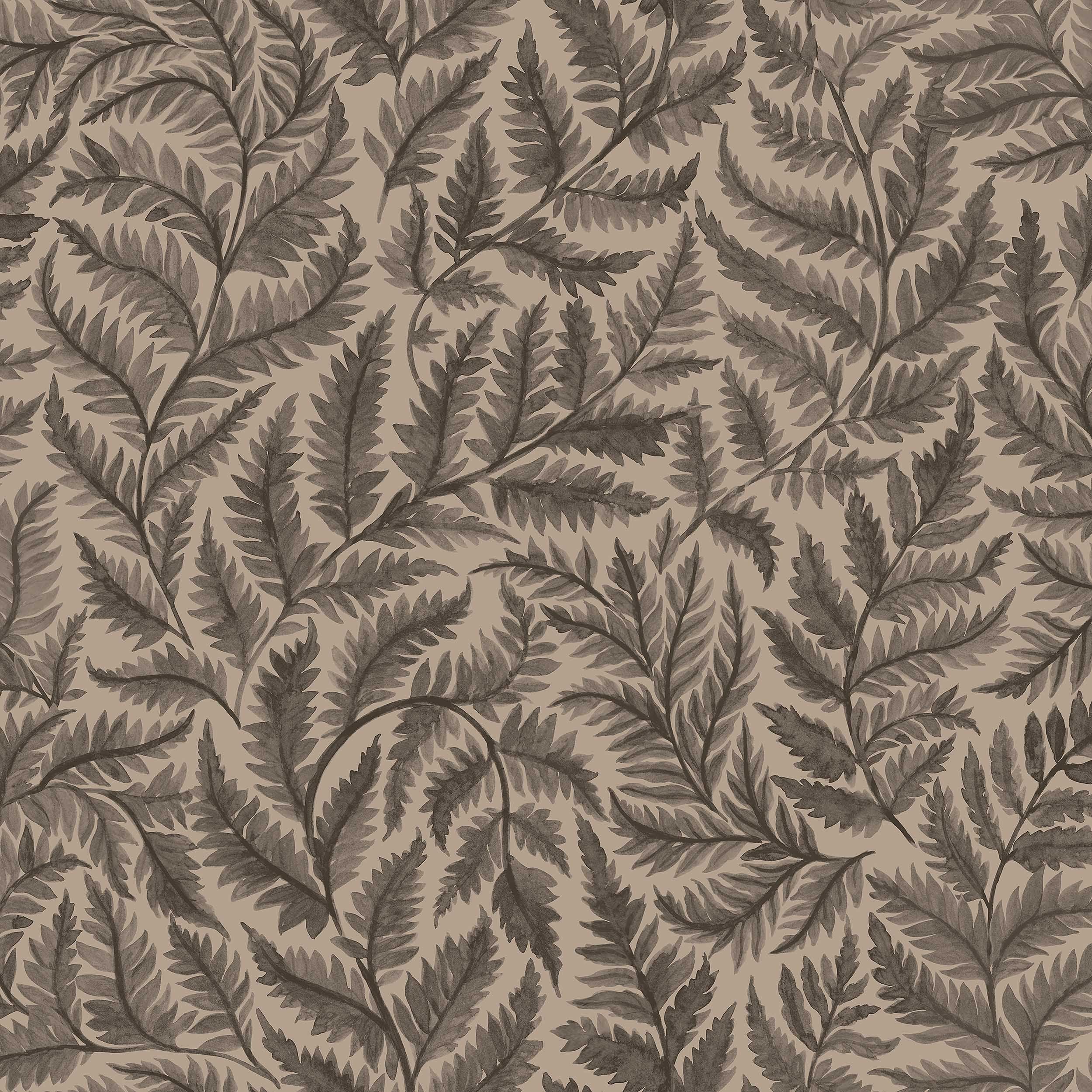 Ferns, svart