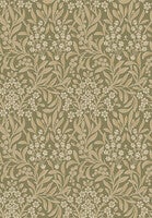 Kryddhyllan, grön tapet