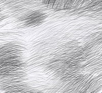 Marimekko Lepo, svart och vit tapet