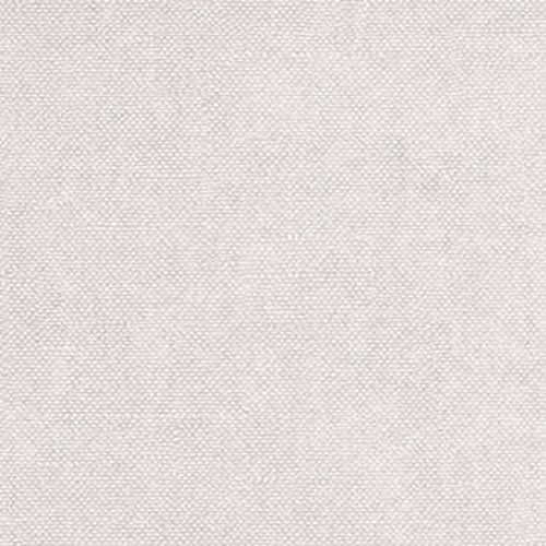 Lys Oyster CLR021